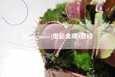七台河奥运金牌9宫格