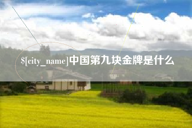 七台河中国第九块金牌是什么