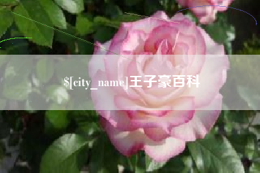 七台河王子豪百科