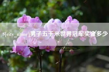 七台河男子五千米世界冠军奖金多少