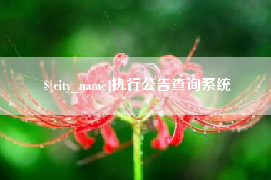 七台河执行公告查询系统