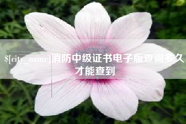 七台河消防中级证书电子版查询多久才能查到