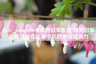 七台河5000米世界冠军配速-世界冠军们往往能在比赛中巧妙地分配体力