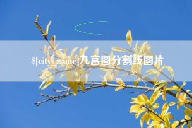 七台河九宫图分割线图片