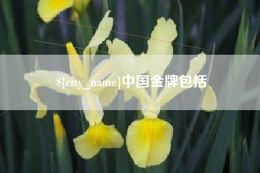 七台河中国金牌包括