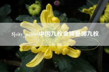 七台河中国九枚金牌是哪九枚