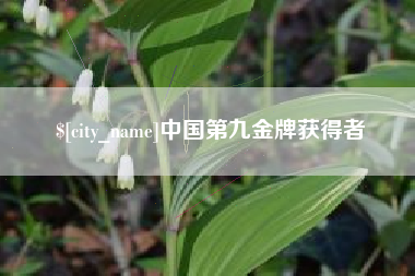 七台河中国第九金牌获得者