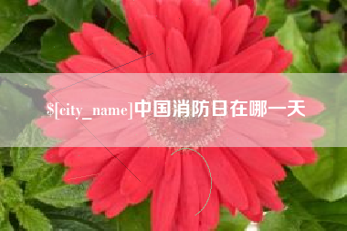 七台河中国消防日在哪一天