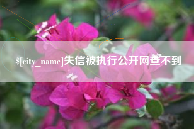 七台河失信被执行公开网查不到