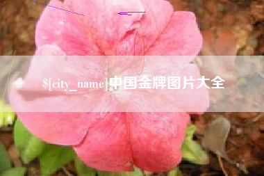 七台河中国金牌图片大全