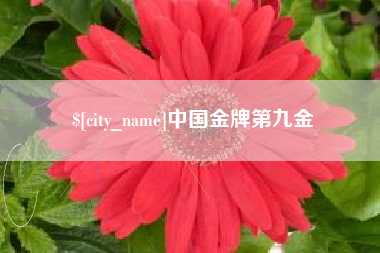 七台河中国金牌第九金