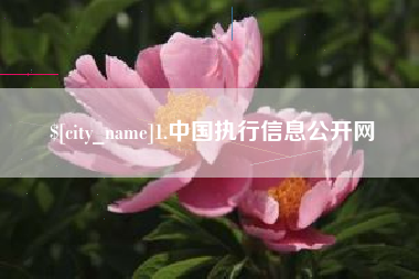 七台河1.中国执行信息公开网