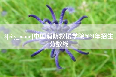 七台河中国消防救援学院2024年招生分数线