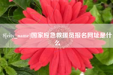 七台河国家应急救援员报名网址是什么