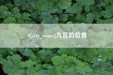 七台河九宫的位置
