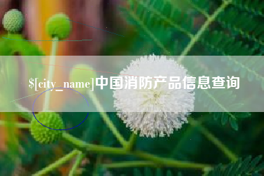 七台河中国消防产品信息查询