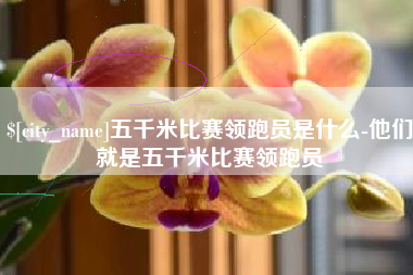 七台河五千米比赛领跑员是什么-他们就是五千米比赛领跑员