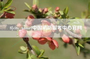 七台河中国消防报考中心官网