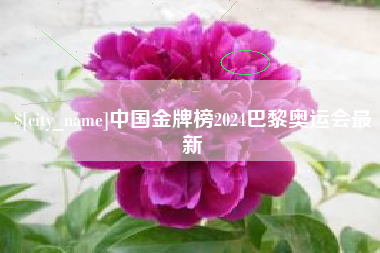七台河中国金牌榜2024巴黎奥运会最新