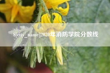 七台河2020年消防学院分数线