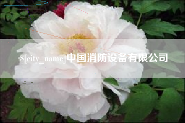 七台河中国消防设备有限公司