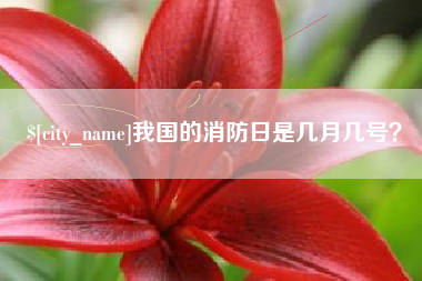 七台河我国的消防日是几月几号？