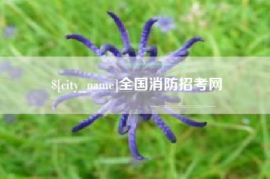 七台河全国消防招考网