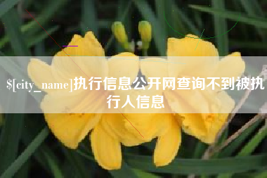七台河执行信息公开网查询不到被执行人信息
