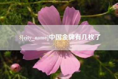 七台河中国金牌有几枚了
