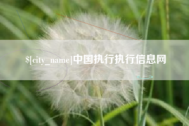 七台河中国执行执行信息网