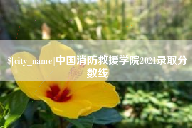 七台河中国消防救援学院2021录取分数线