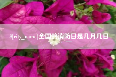 七台河全国的消防日是几月几日
