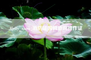 七台河消防证国网查询操作证