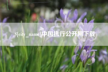 七台河中国执行公开网下载