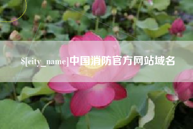 七台河中国消防官方网站域名