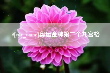 七台河奥运金牌第二个九宫格