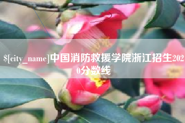 七台河中国消防救援学院浙江招生2020分数线