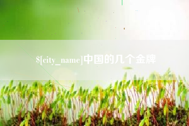 七台河中国的几个金牌
