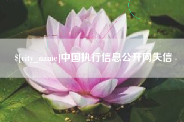 七台河中国执行信息公开网失信