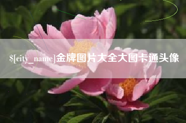 七台河金牌图片大全大图卡通头像