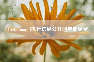 七台河执行信息公开网查询免费