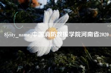 七台河中国消防救援学院河南省2020