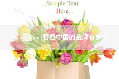 七台河看看中国的金牌有多少